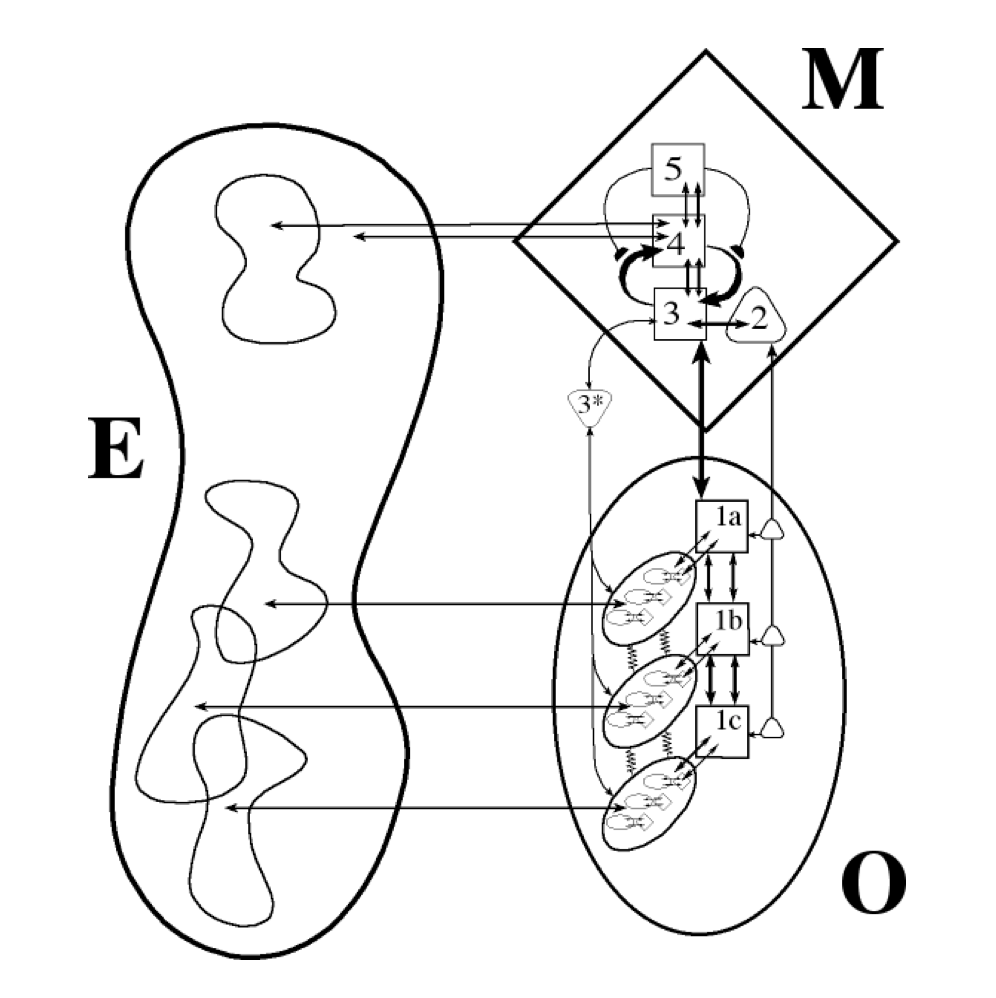 Viable System Model Metaphorum