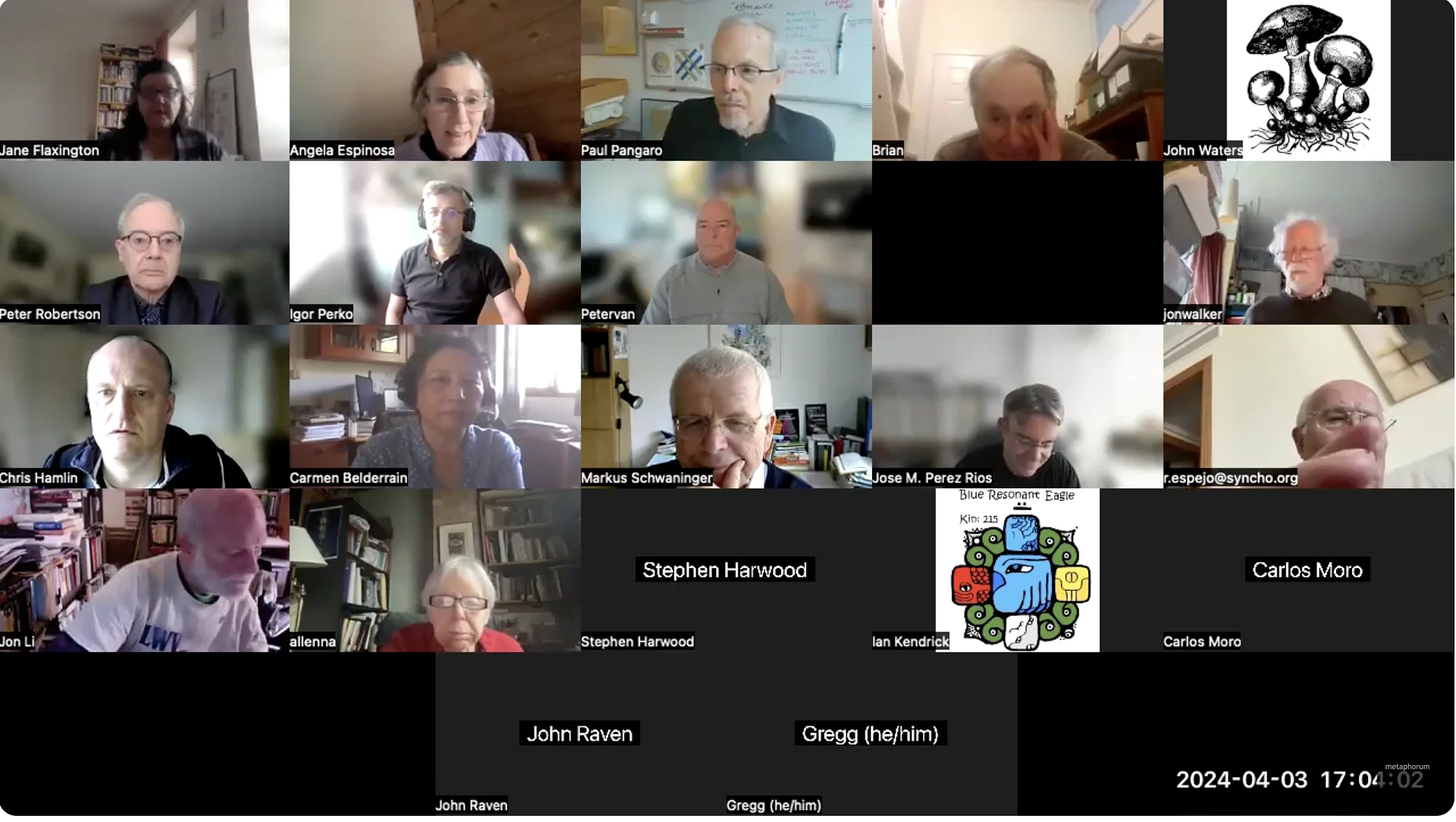 Metaphorum Webinar 03.04.2024 Pickering