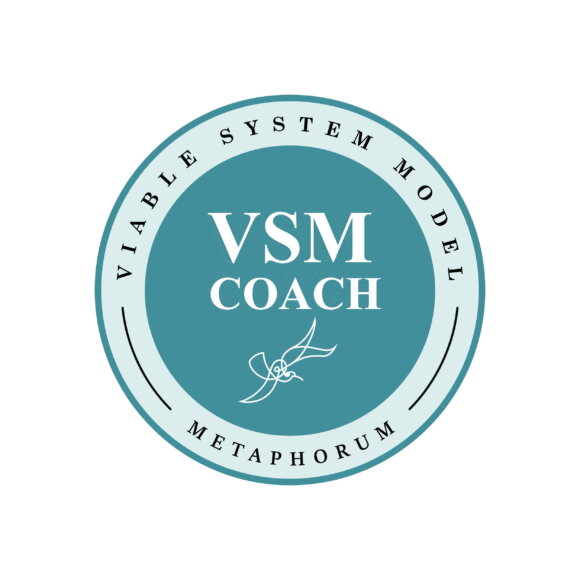 Announcing the VSM Coach Badge